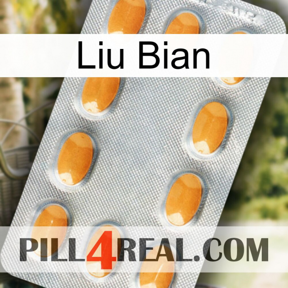 Liu Bian cialis3.jpg